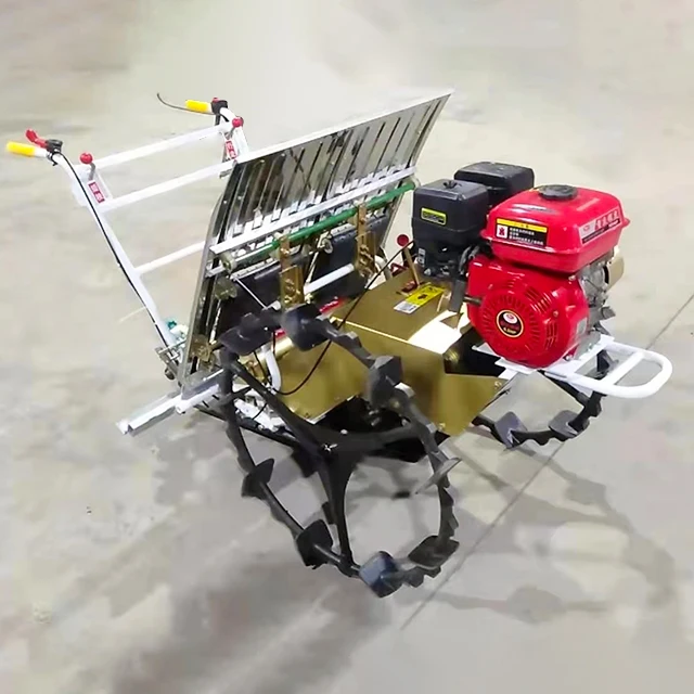 2021 самый популярный рисовый плантатор для филиппинского рисового плантатора на