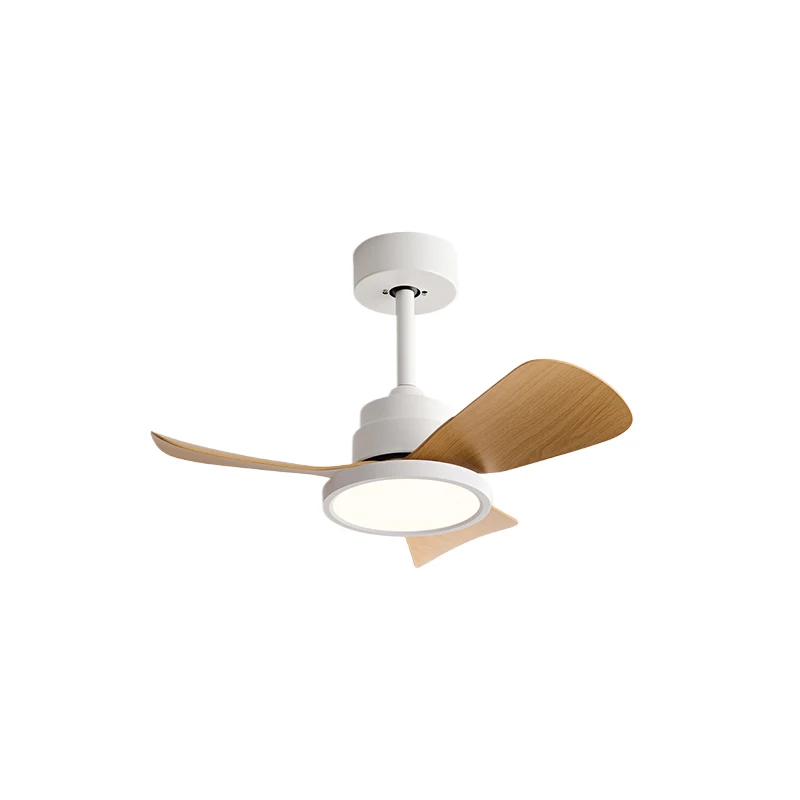 Factory Direct Modern Ceiling Fans with Lights and Remote Dimmable 3CCT Reversible BLDC Motor ABS Blades for Bedroom Living Room