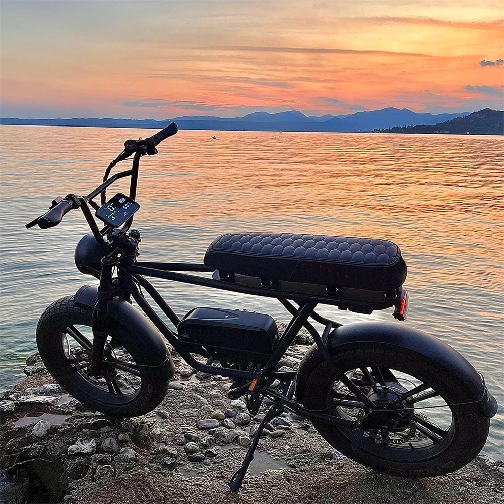 Revitalize Your Routine Affordable China-Made 48v 1000w Electric Fat Tire Full Suspension E-Bike for Adults - Dirt Ebike Available for Sale - Image 6