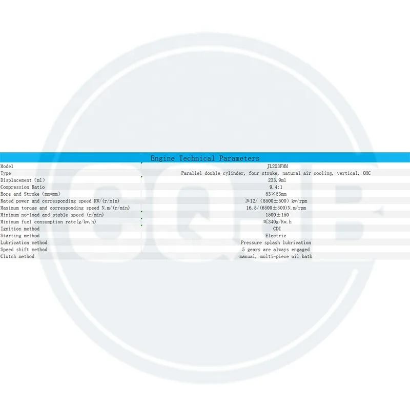 CQJB High Quality JL253FMM Motorcycle Engine Assembly