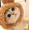 Brown little bear hat