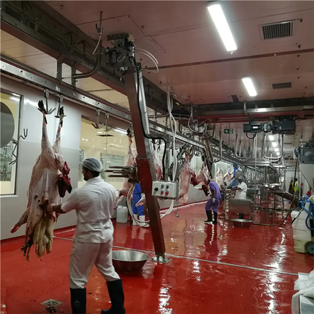 Cattle slaughtering equipment hot sale
