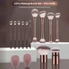 12pcs+2*sponge