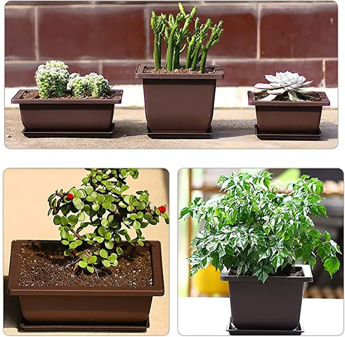 Factory Directly Sale Flower Planter Bonsai Tree Pot