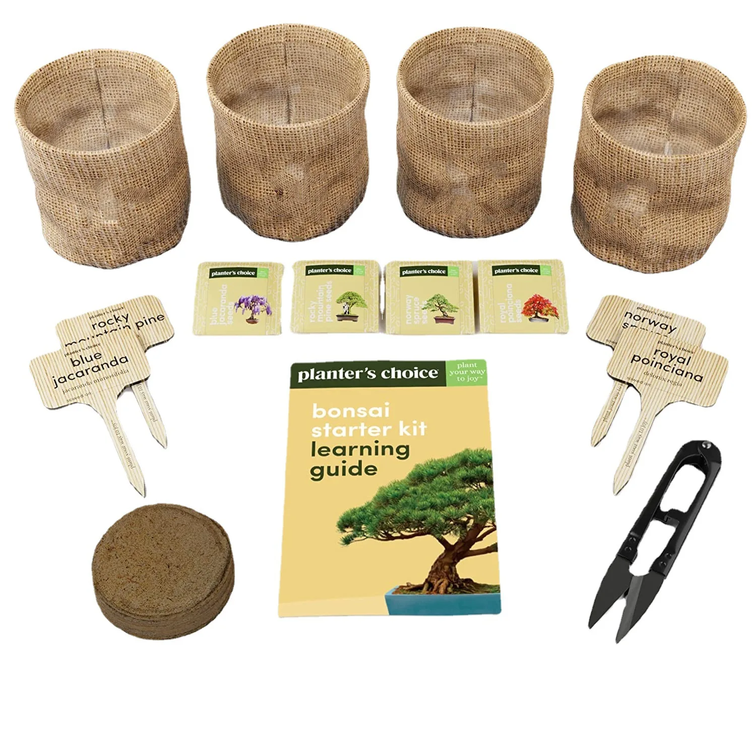 Bonsai Tree Kit Bonsai Tree Starter Plant Kit Beginner Gardening Growth