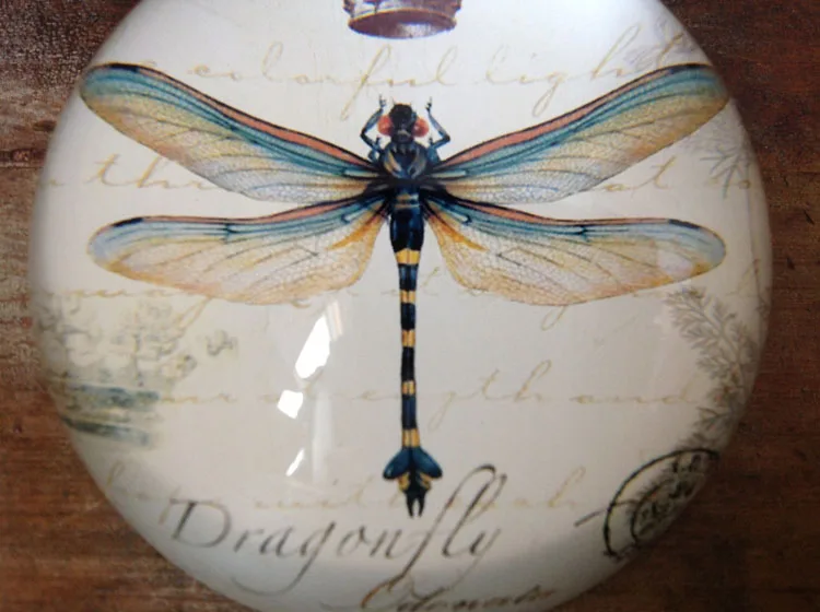 Circular Glass Dragonfly Paperweight MH-F0491