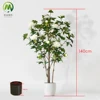 bianco 140 cm