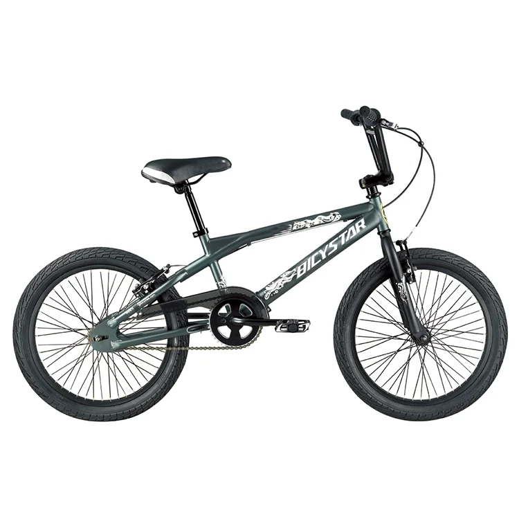 2024 Hot Sale BMX Bike - 29 Inch DIRT JUMP & Street Ride