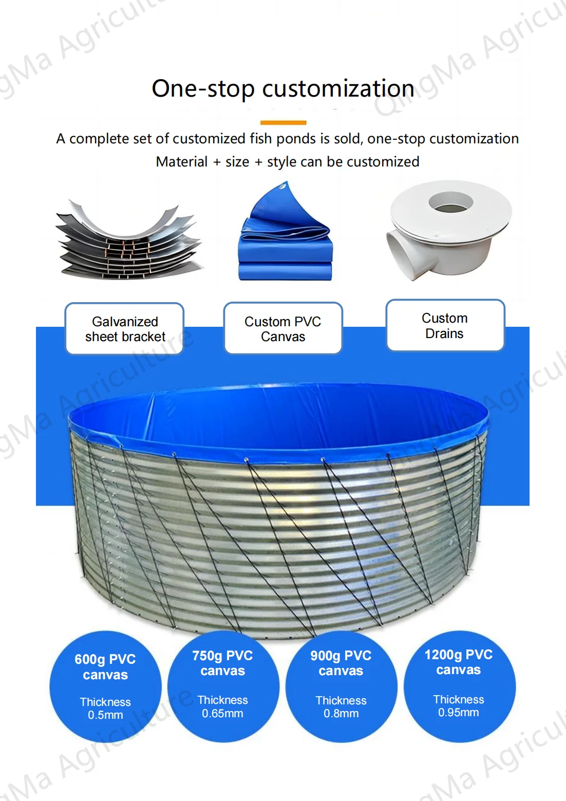 Tilapia Fish Farming A Detailed Business Plan Guide F vrogue.co