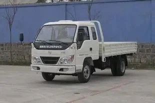Small China 3 Tons FOTON 4x2 diesel  Light Cargo Truck