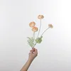 Linglong thé rose abricot 60cm