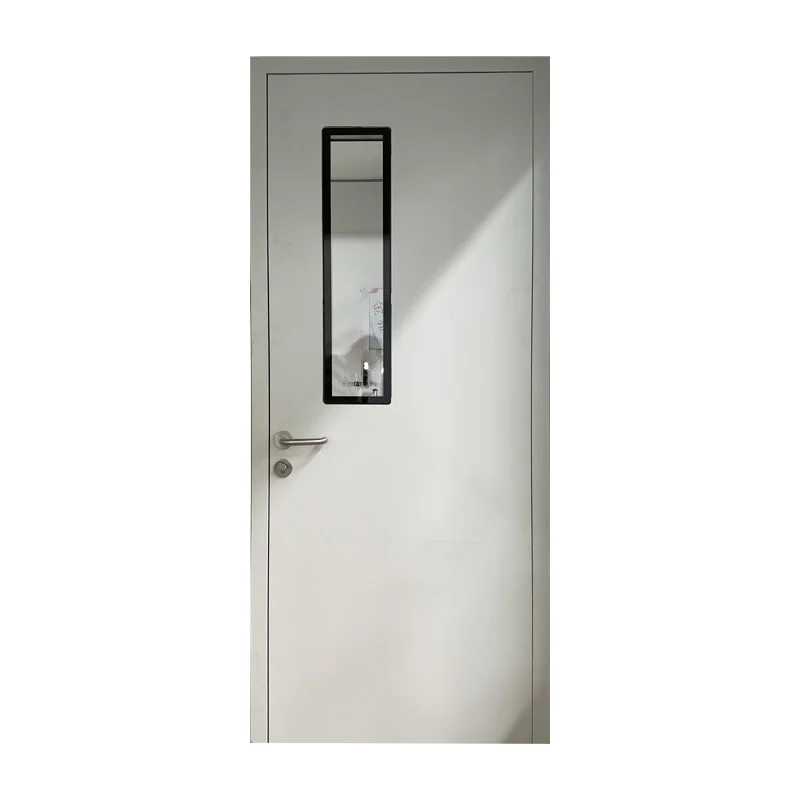 Comparable Price High Quality Stoving Varnish Steel Clean Door for Clean Room with ISO