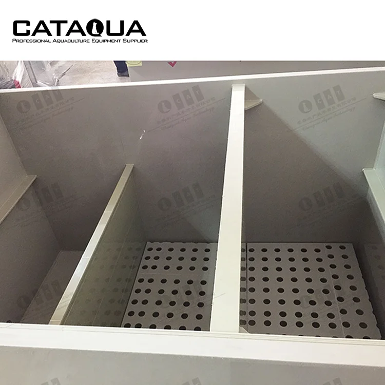 Rectangular Aquaculture Equipment Ras Biological Filter Bio Filter for Aquaculture