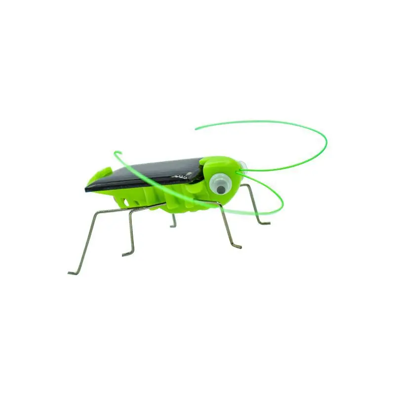 New Coming Montessori Toys Product Solar Grasshopper Other Outdoor Insect Educational Toy for Kids Learning