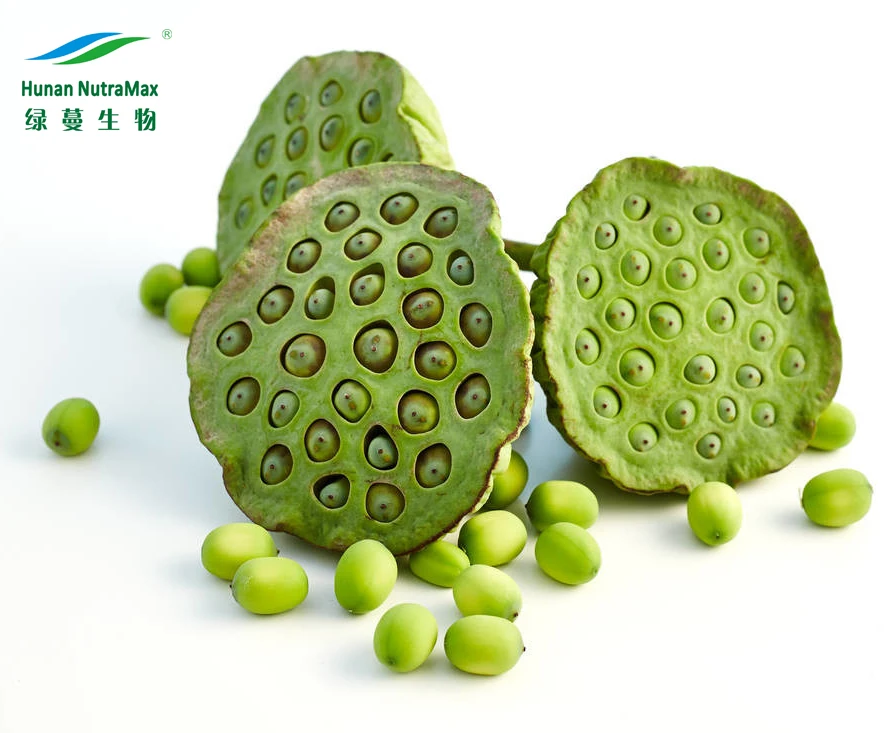 factory supply lotus seed core extract,lotus plumule extract
