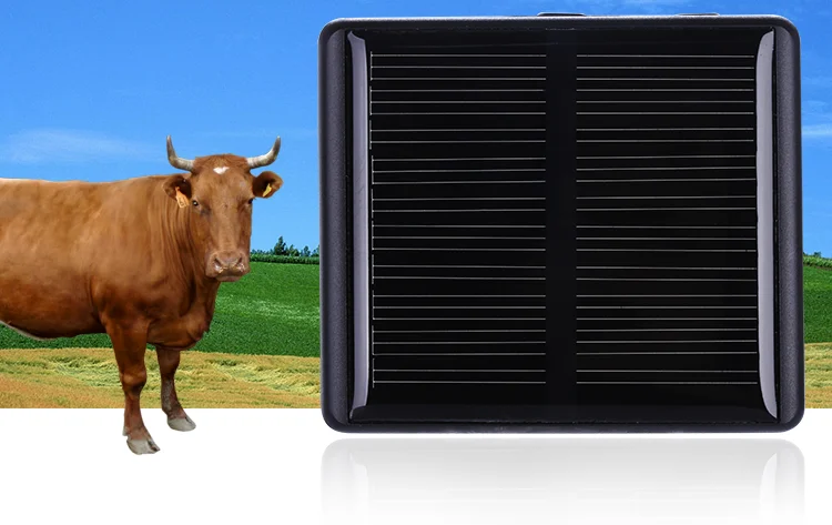 Solar GPS Tracker for Goat Tracking Device Camel GPS Tracking Device for Farm Animals Horse Solar Tracker Cow