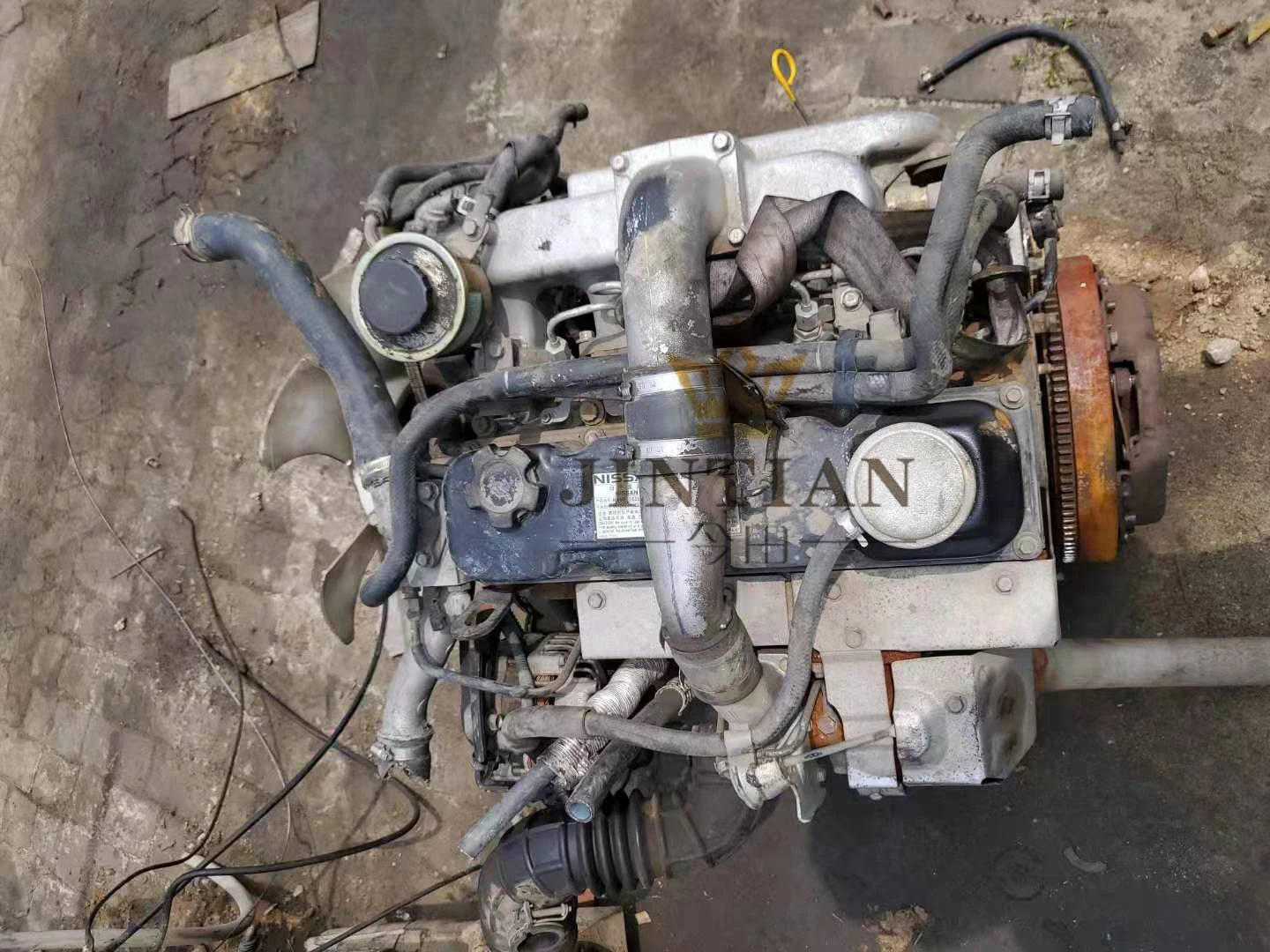 High Quality Used QD32 Diesel Engine for Nissan Pickup (2002-2016