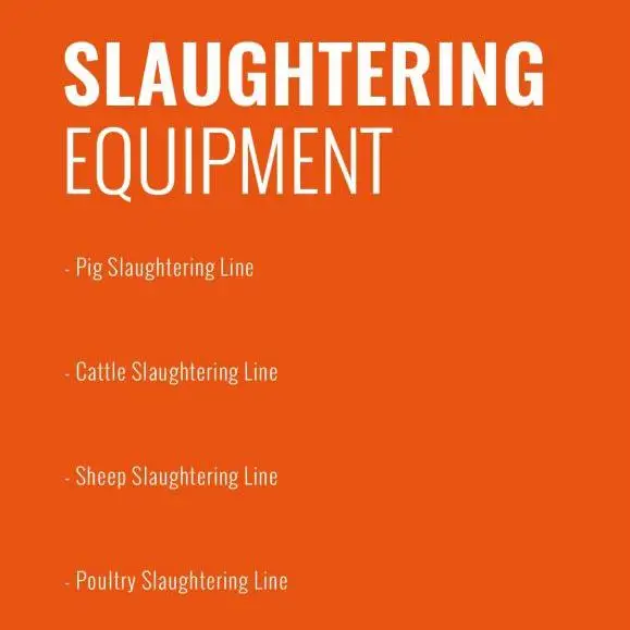 Complete Sheep Slaughter Line Automatic Sheep Scalding Tank Stainless Steel Abattoir Equipment Manufacturer