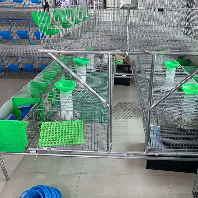 European Style 2 Layers Commercial Rabbit Cage Galvanized Wire Mesh 24