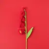 Produit fini-branche de muguet à quatre têtes-rouge
