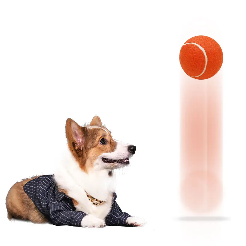 High quality pet paddle tennis ball custom logo customized tennis ball Factory Wholesale