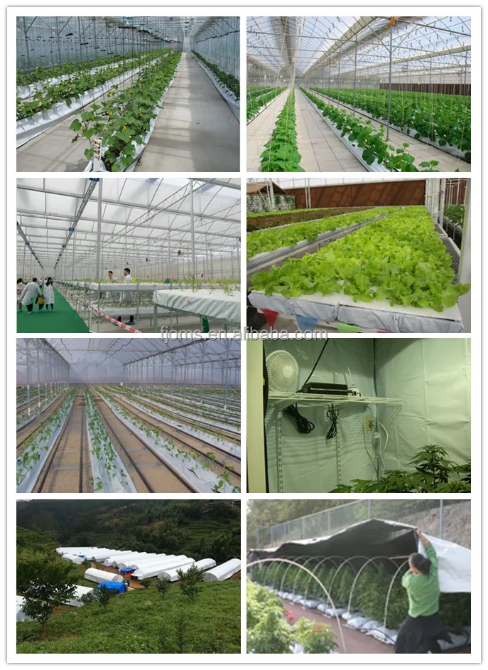 6mil Transparent Plastic Sheeting Roll For Agriculture And Package Buy Transparent Plastic