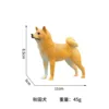 Akita