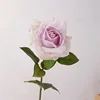 Taro viola