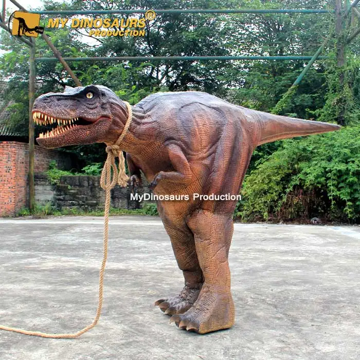 Compre Xinxun Raptor Terno Inflável Tiranossauro Rex Dinossauro Terno  Inflável Boneca de Desenho Animado Adereços Caminhada Terno de Desempenho  Vestir de Férias