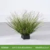 Grappes d'herbes de 35 cm de haut - 30 herbes vert foncé