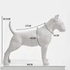 Bull Terrier bianco