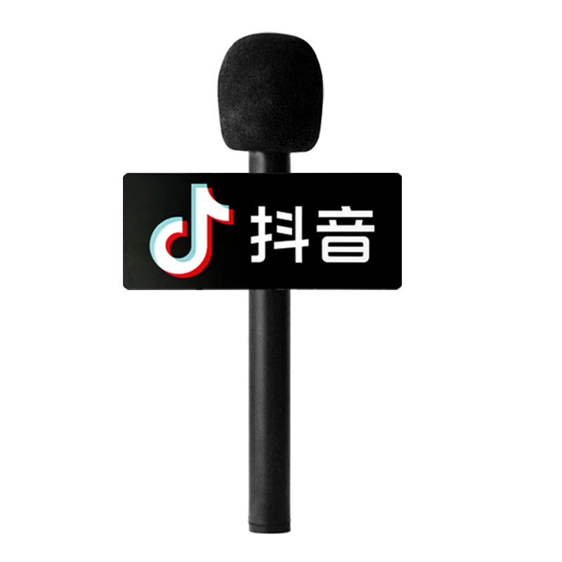 Senli Conference Handheld Condenser Mini Karaoke Speaker Portable Small Wireless Microphone With Microphone