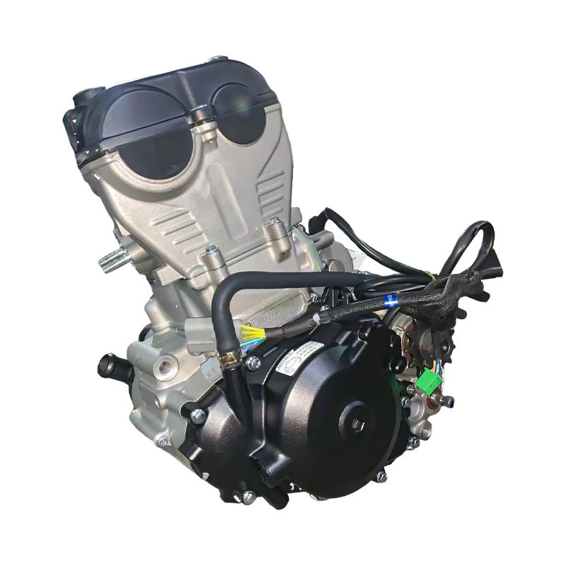 Kawasaki Ninja Motorcycle 250cc Zs177mm Engine - Bestseller