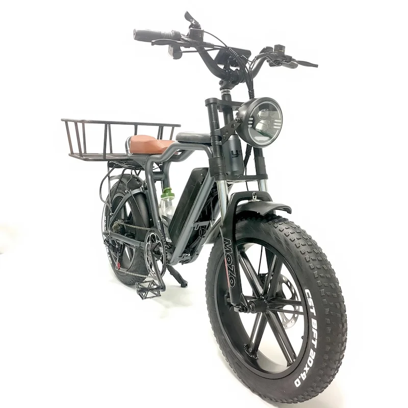 1000w 48v Full Suspension Cargo Bike Electric Ebike 2021 Ecargo Family