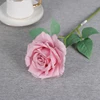 Rose Madder
