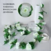9-headed white rose vine