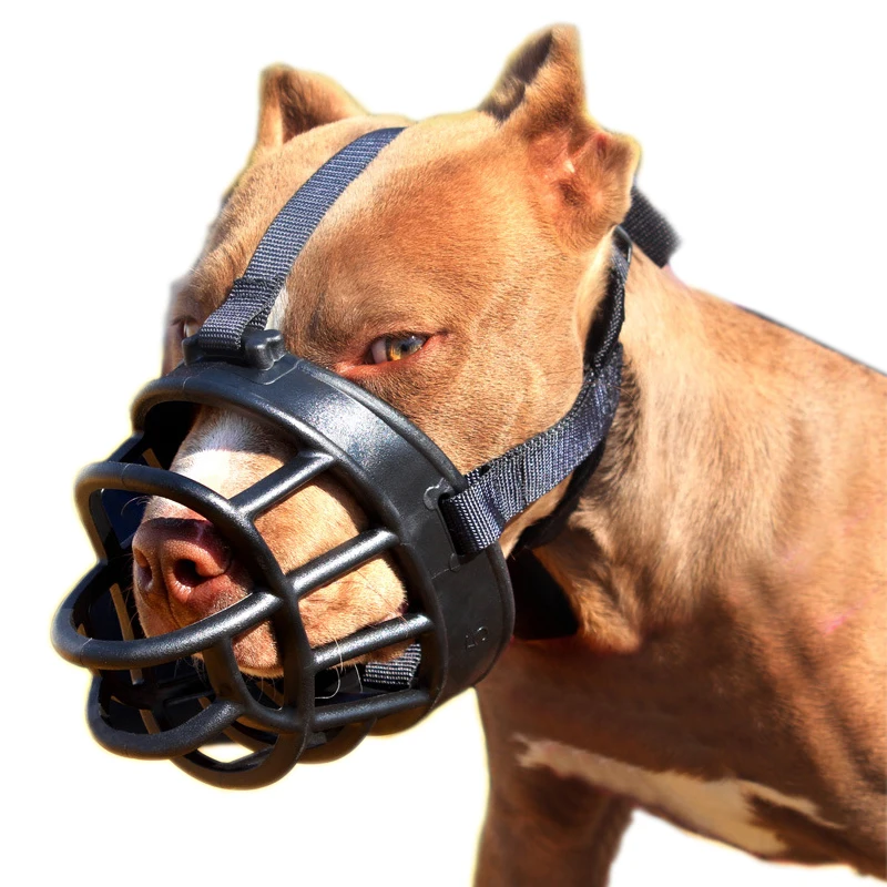 Bite proof dog collar Outlet