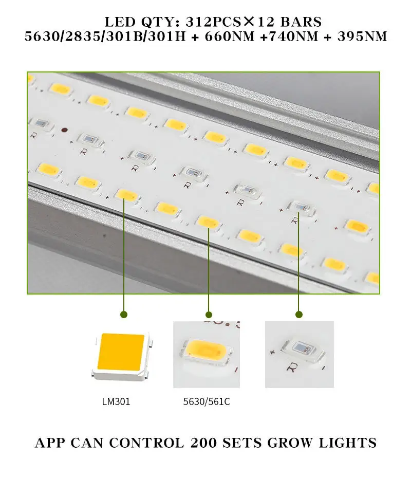 Made in China Multiple Power Options Available Led Grow Light Intertek Lighting for Indoor Hydroponic Plants
