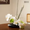 Zen of Flowers and Trees