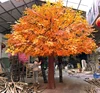 árbol de baniano amarillo