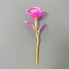 colorful Colorful rose red (18 cm)