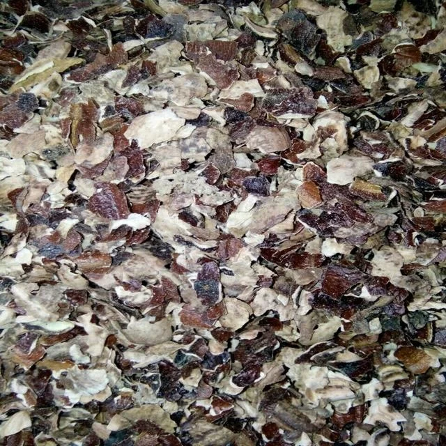 Hot Sale Big Size Agricultural Waste-Cashew Husk for Tanning