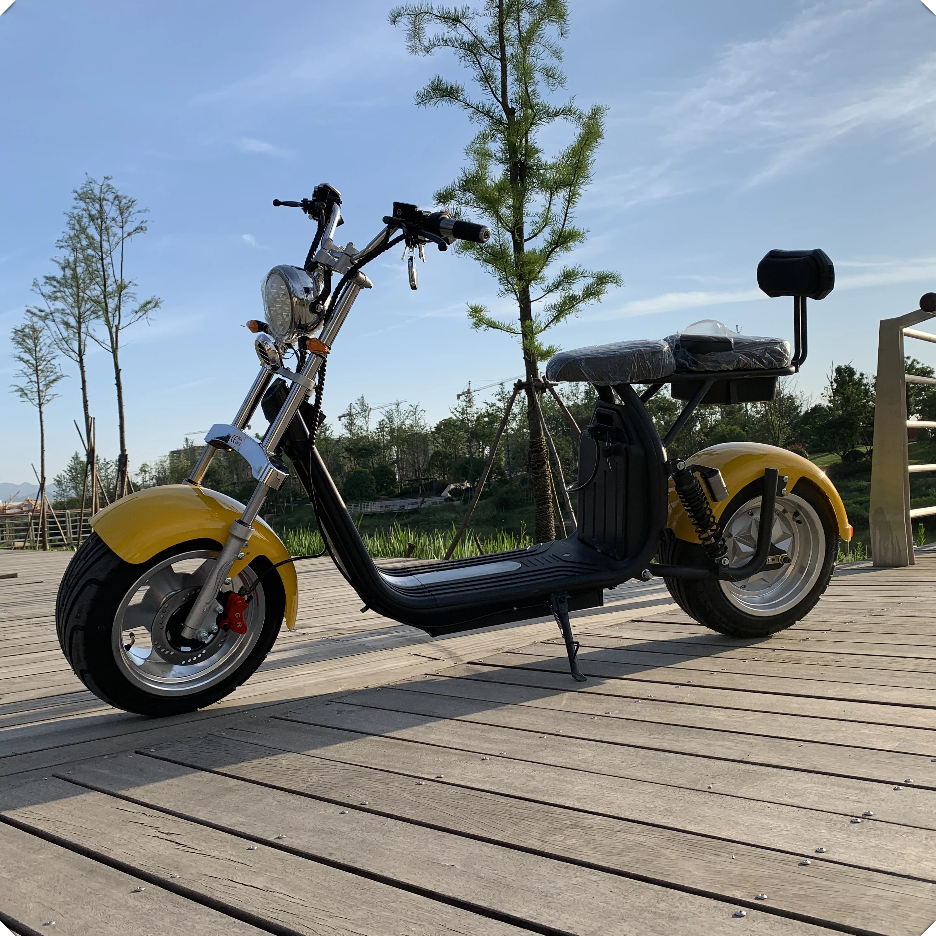 2025 Free Shipping New Arrival Disc Brake Electric Scooters for Men and Women With Steel Citycoco From Yidegreen Scooter Factory
