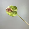 Pink Green