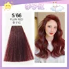 5/66 li zi hong (leader)