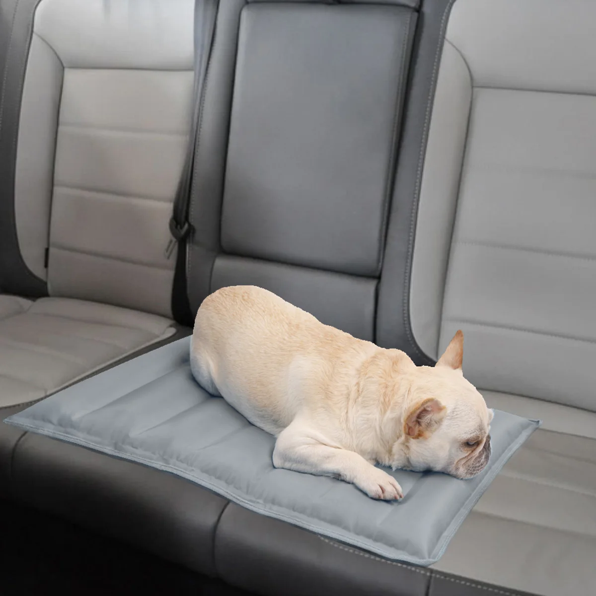 Pet Dog Cooling Mat Summer Water Filling Gel Pad