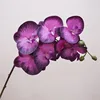 Pourpre