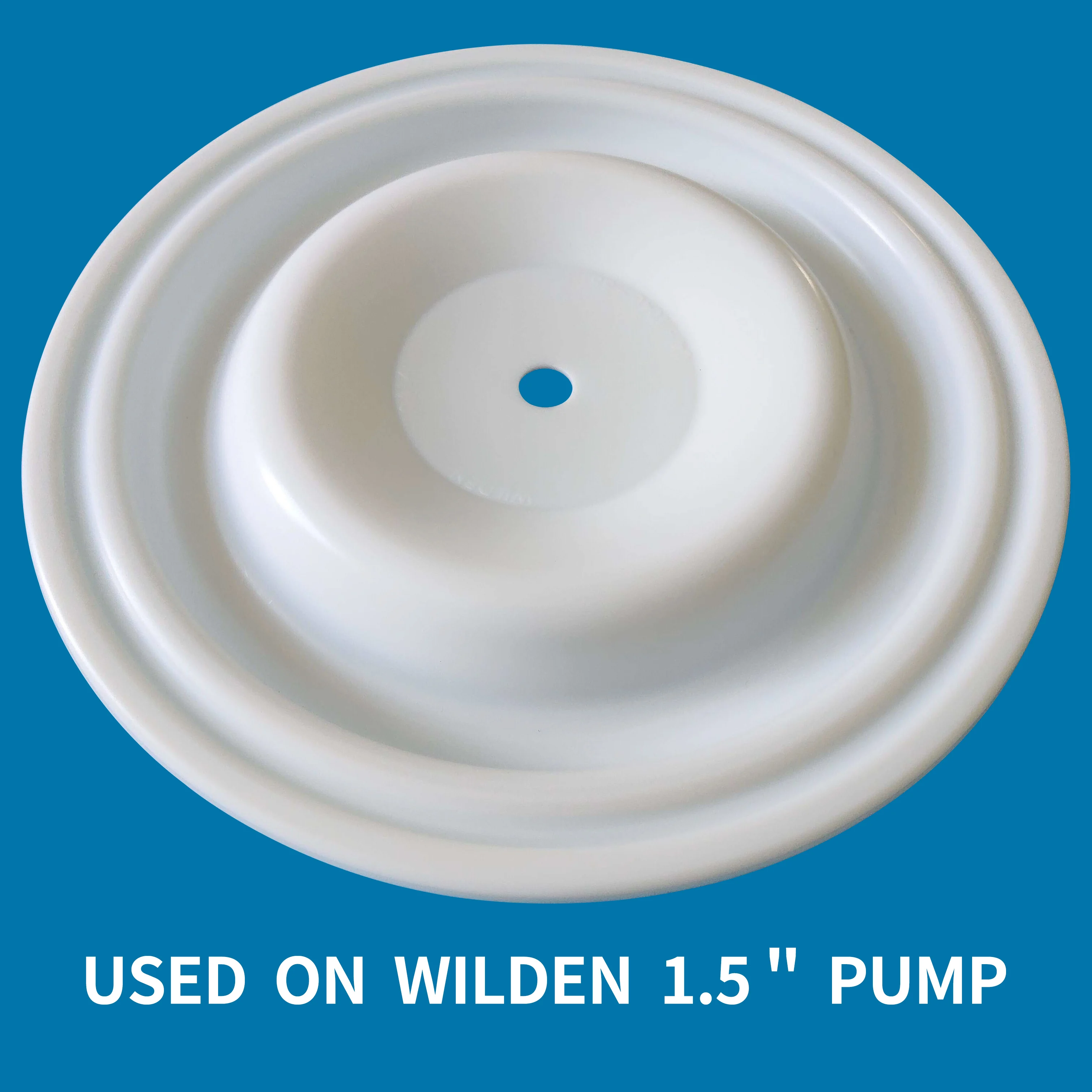 CF 04-1010-55 Ptfe Diaphragm supplier