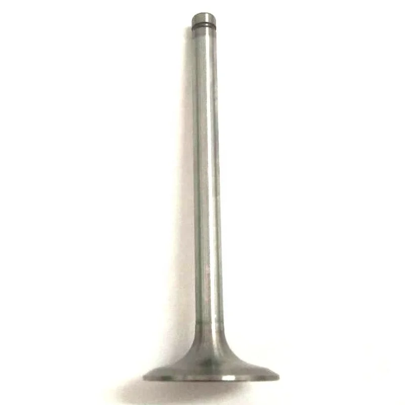 5000676035 5000667939 engine valve used for Renault truck TM1418 