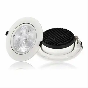 Modern Design AC 220V Down Light LED Trimless Panel Recessed Downlight ODM OEM Round COB Die Casting Cob for Indoor Use